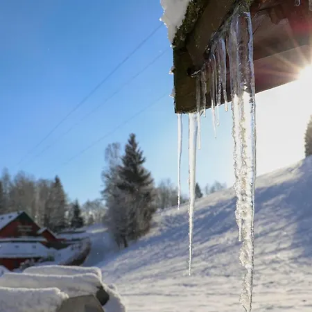 Na Svahu, Krkonose شقة *