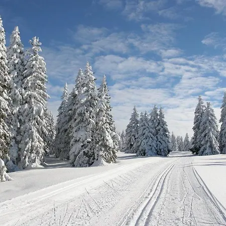 Na Svahu, Krkonose Žacléř