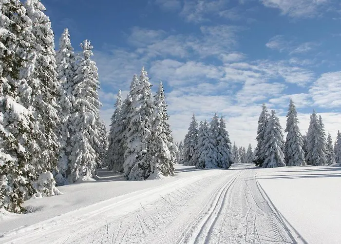 Na Svahu, Krkonose Žacléř